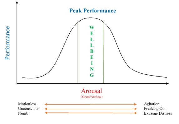 arousal and wellbeing expanded