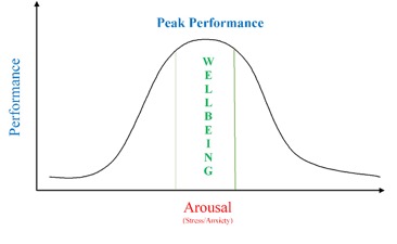 arousal and wellbeing